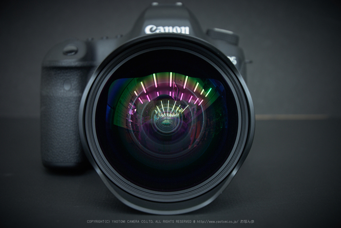 お写ん歩: Canon EOS 6D MarkIIアーカイブ